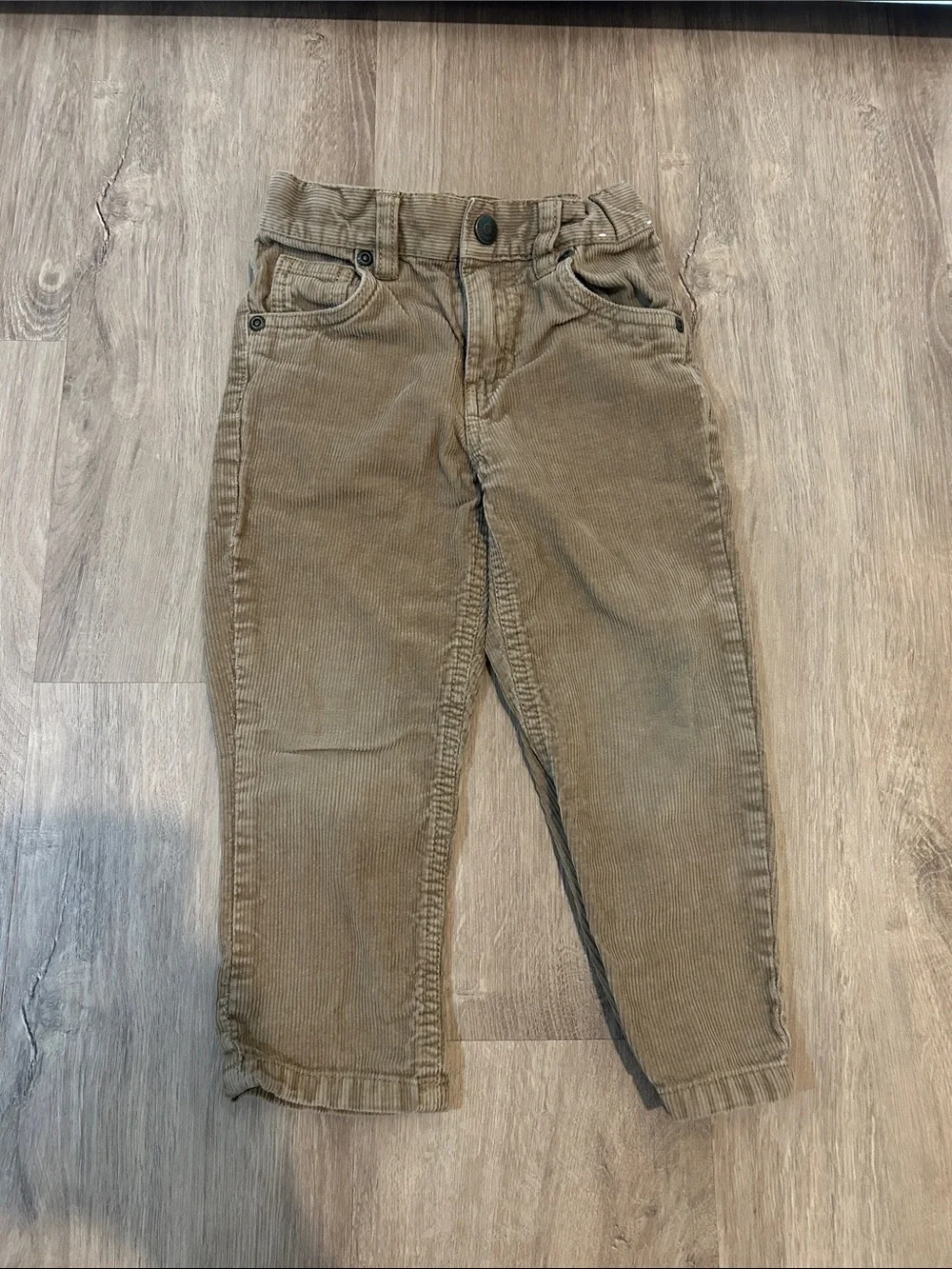 Gymboree Boys Corduroy Pants in Olive Brown